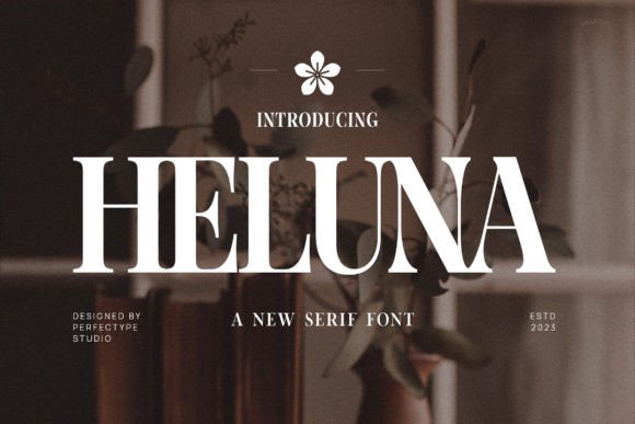 Heluna: A Modern Serif Typeface for Campaigns